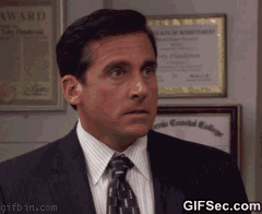 no-Steve-Carell-The-Office-GIF